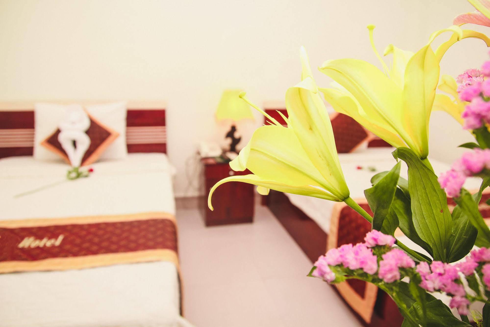 Vivyanne Hotel Da Nang Buitenkant foto